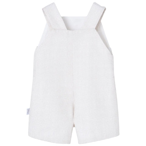Baby Boys Beige Checked Dungaree