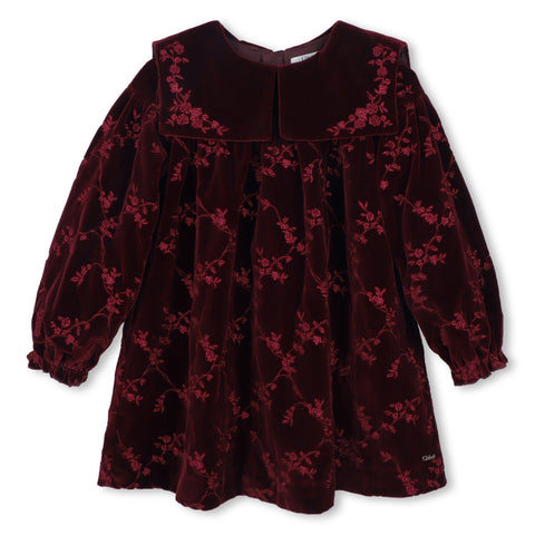 Girls Ruby Velvet Long Sleeved Dress