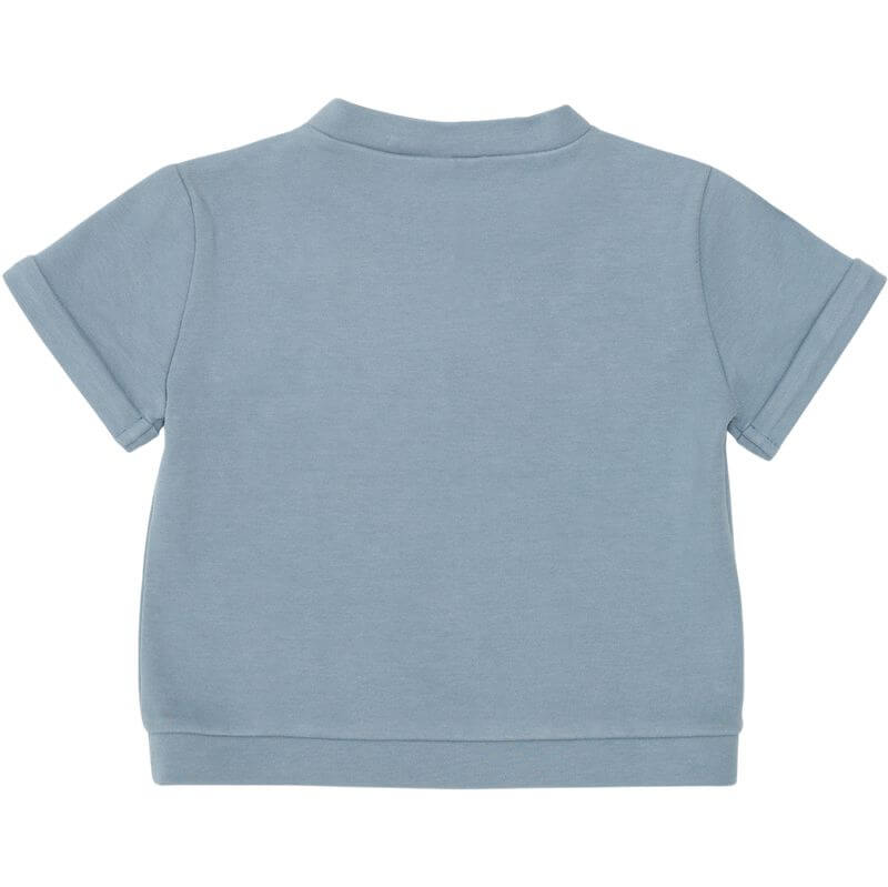 Donsje Boys Organic Jarne Blue Bear T-Shirt