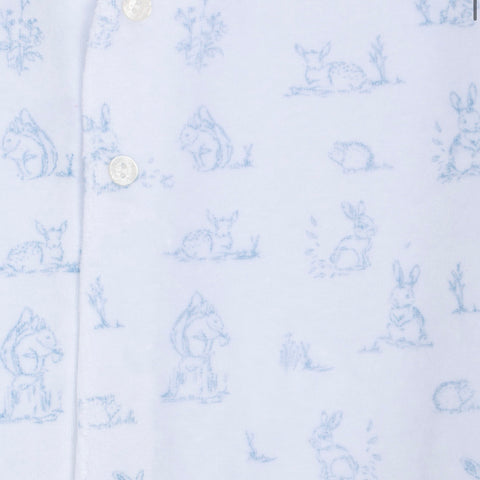 Baby Boys Babygrow