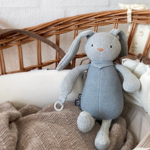 Blue Rabbit