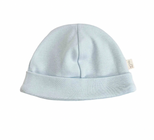 Baby Boys Blue Hat