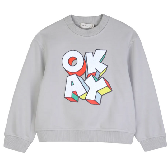 Boys Grey Sweater