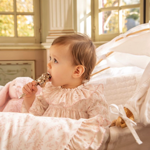 Baby Girls Pink Toile Dress