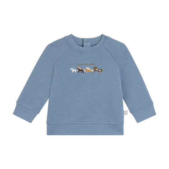 Boys Air Force Blue Sweatshirt
