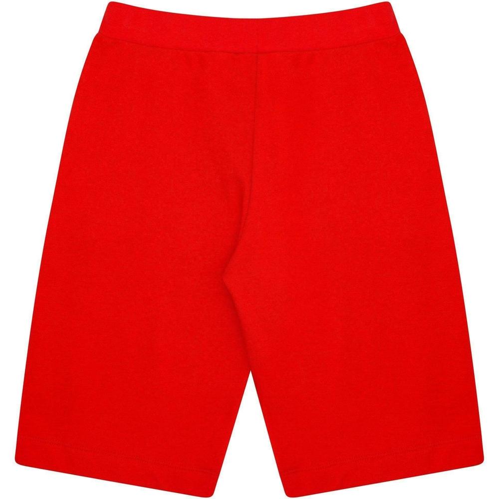 Lanvin Boys Red And Navy Shorts