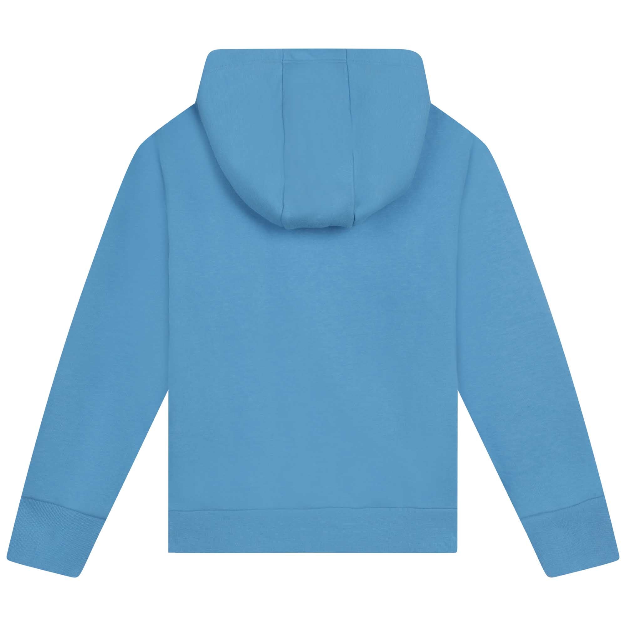 Plain baby blue hoodie best sale