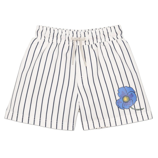 Boys Stripe Swim Shorts
