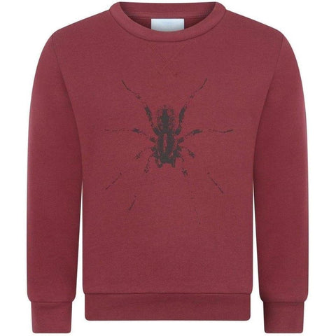 Lanvin Boys Burgundy Spider Sweatshirt