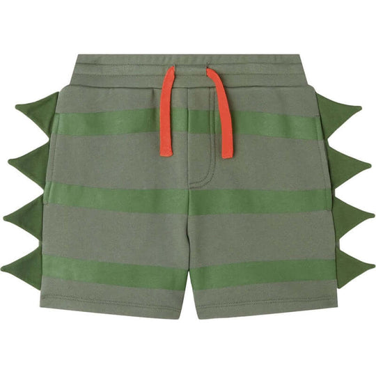 Boys Green Striped Cotton Shorts